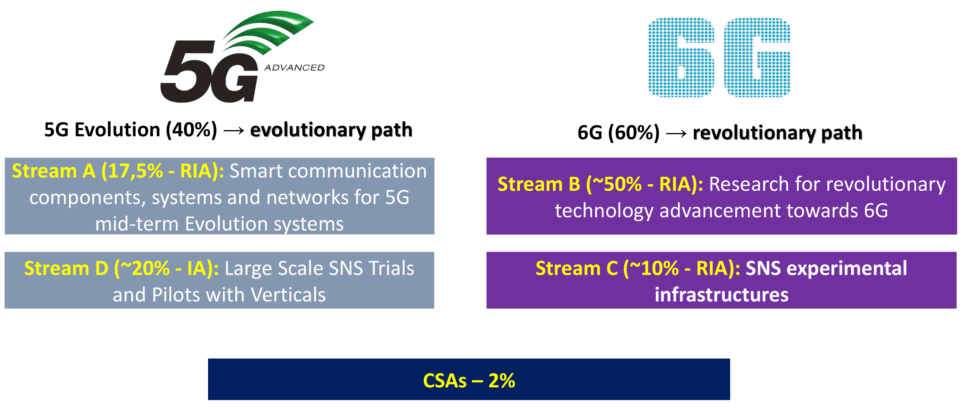 sns workprogramme introduction